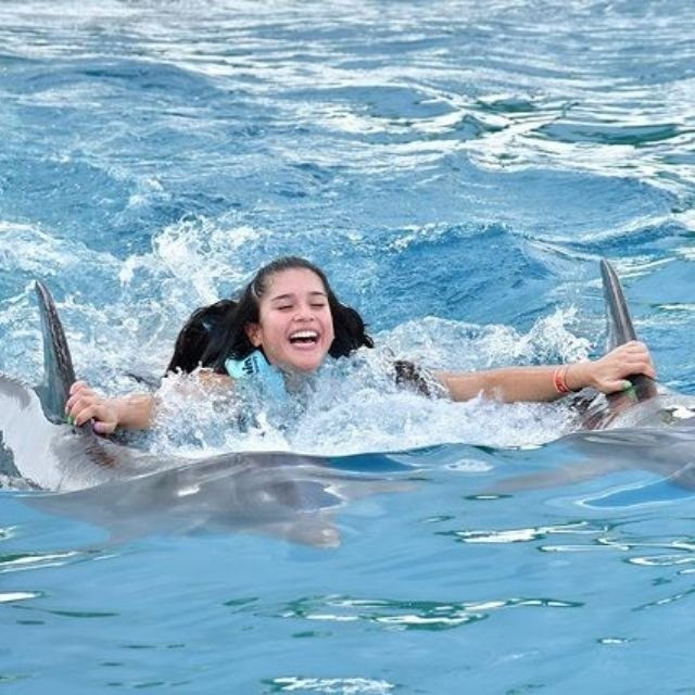 royal swim isla mujeres