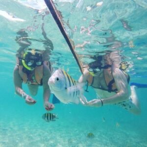 Snorkel in Cancun