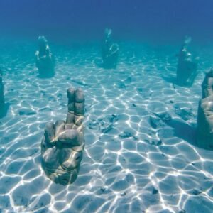 Snorkeling Adventure