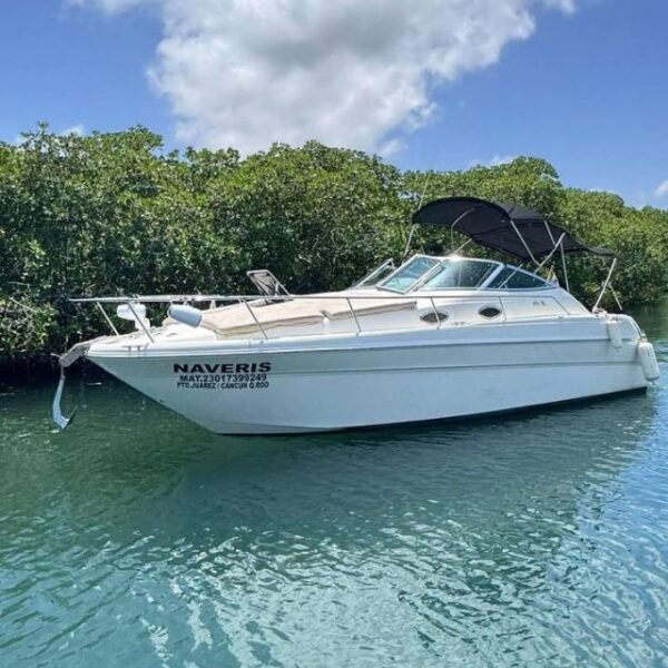 Party Boats Cancun